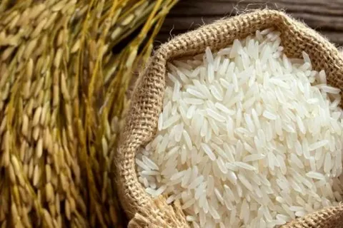 تصویر 4 از خرید برنج عنبر بو زرد + قیمت فروش استثنایی